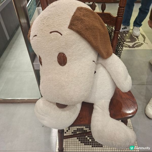 ✨️嵐山限定抹茶軟雪糕💯😋