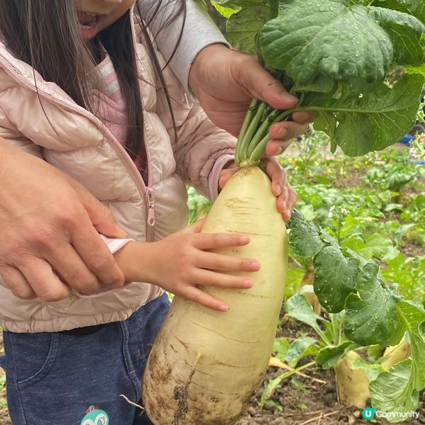 親子同樂+繪本教育📚+體驗式農場👨‍🌾童遊花園 