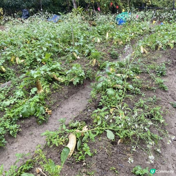 親子同樂+繪本教育📚+體驗式農場👨‍🌾童遊花園