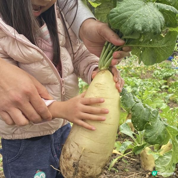 親子同樂+繪本教育📚+體驗式農場👨‍🌾童遊花園