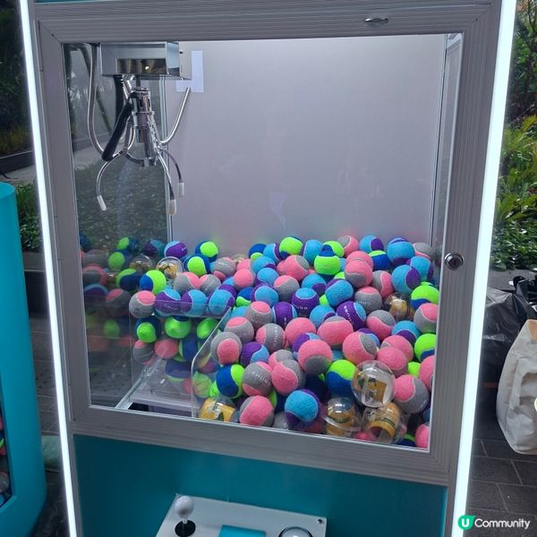 💯澳網2026觀賽派對體驗分享💞食玩睇🥳超正🥳