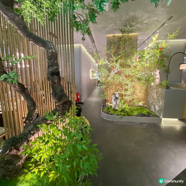 特色浙江菜😍香噴噴龍井烤雞☕️