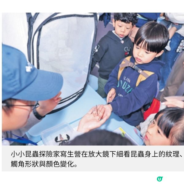 親子嘉年華探索式學習助幼兒連結大自然與生活