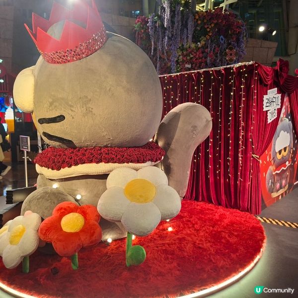 ✨️假日好去處🥰朗豪坊GD ZOA POP-UP打卡位📸