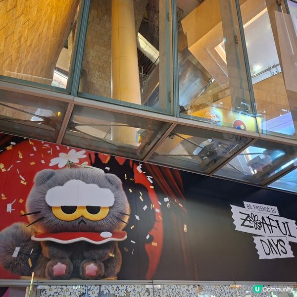 ✨️假日好去處🥰朗豪坊GD ZOA POP-UP打卡位📸