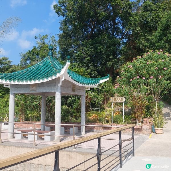 西貢離島遊！心靈洗禮半日遊！🏝️✨