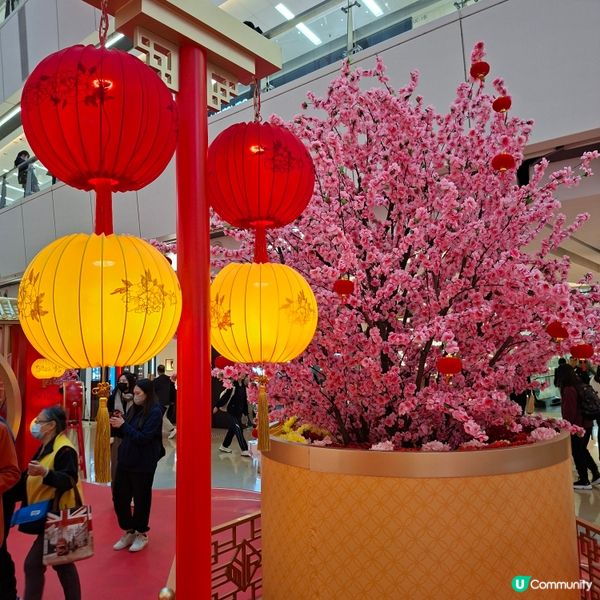  招財黃金屋🤩 金銀滿屋