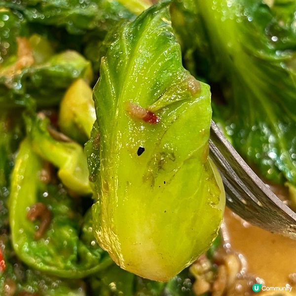 📝九龍城。小曼谷