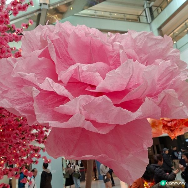 「幸福花緣」在沙田