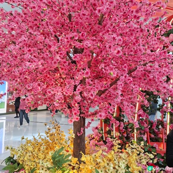 「幸福花緣」在沙田