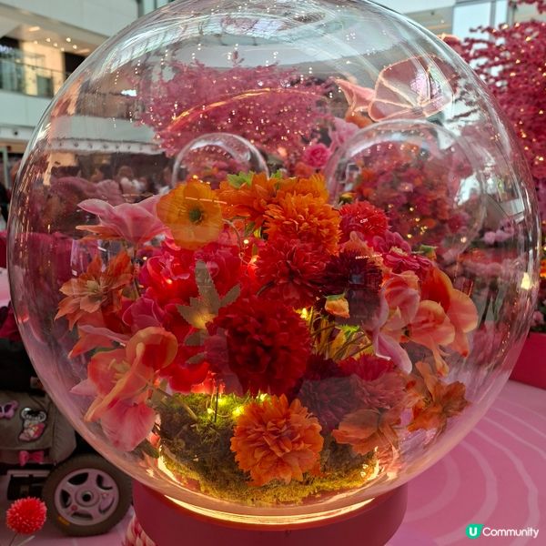 「幸福花緣」在沙田