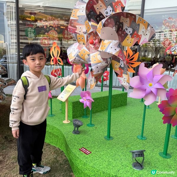  「金光閃閃風車牆」財源滾滾招財進寶💰🤑