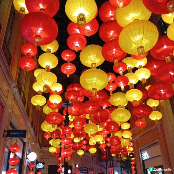 利東街-燈海桃林賀新歲！🏮✨