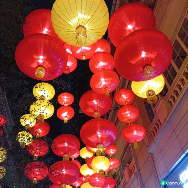 利東街-燈海桃林賀新歲！🏮✨