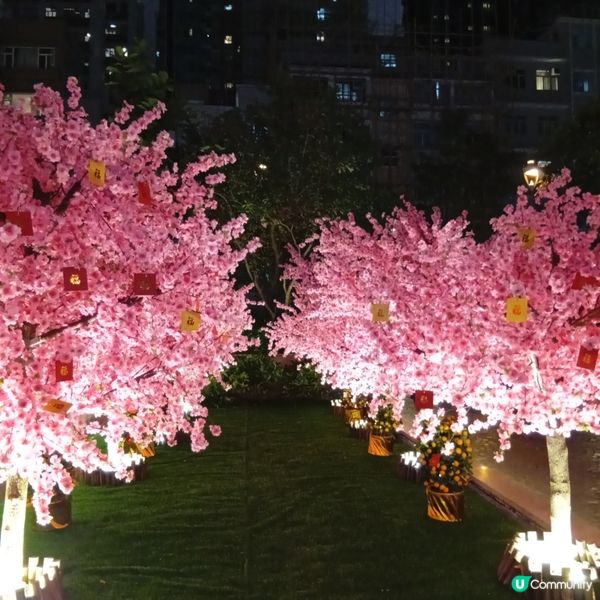 利東街-燈海桃林賀新歲！🏮✨