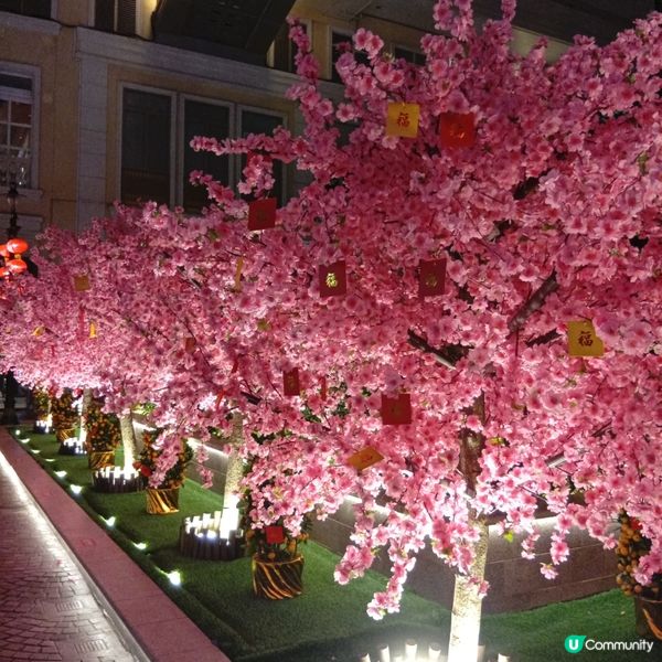 利東街-燈海桃林賀新歲！🏮✨