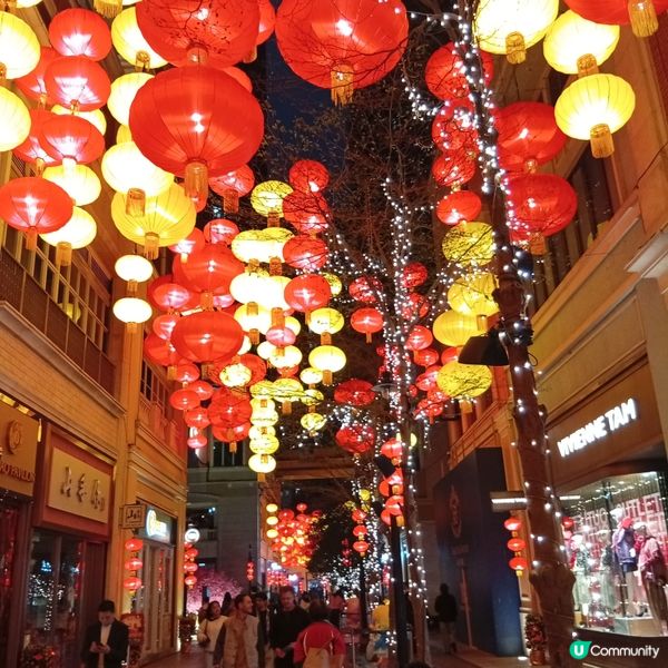 利東街-燈海桃林賀新歲！🏮✨