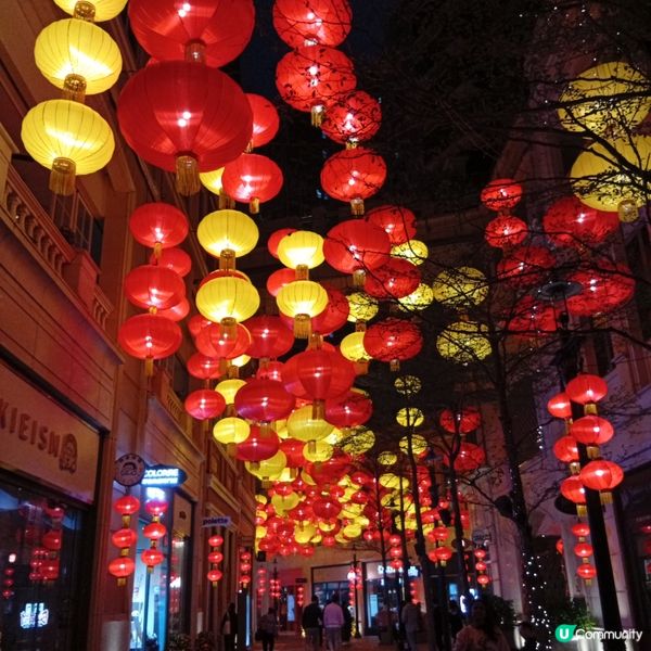 利東街-燈海桃林賀新歲！🏮✨