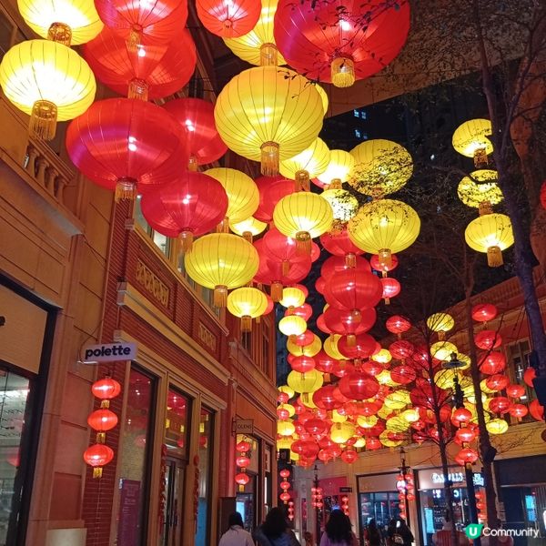 利東街-燈海桃林賀新歲！🏮✨