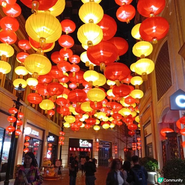 利東街-燈海桃林賀新歲！🏮✨