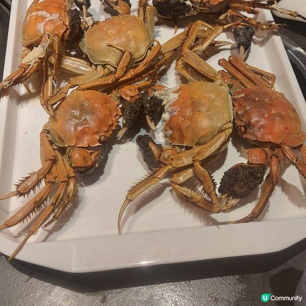 ✨️深圳一日遊路線分享💞舟市水產🥰觀瀾湖新城💞鼎香緣