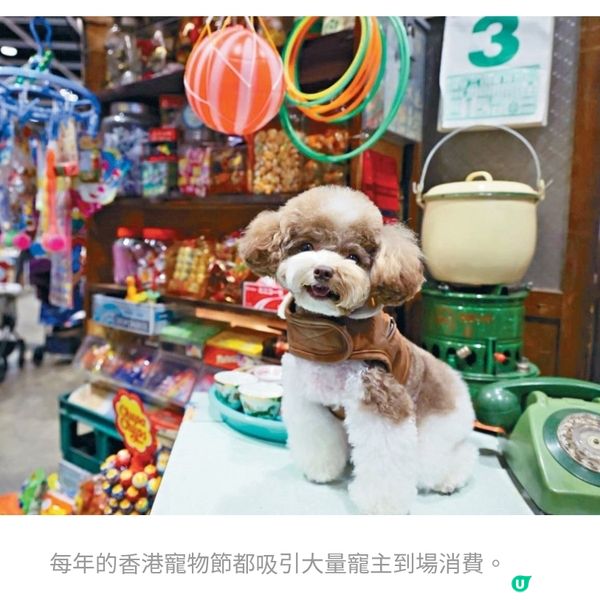 產地效期不明「港牌」寵物零食規管不足