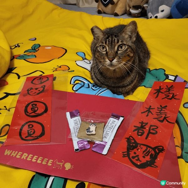 團長同大家提早過肥年， 不過團長係唔係爭一件新年衣服呢？ 同...