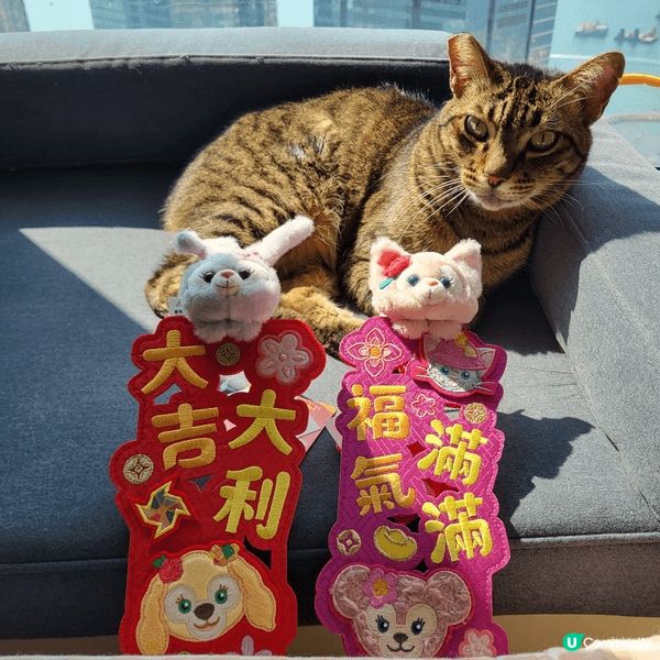 團長同大家提早過肥年， 不過團長係唔係爭一件新年衣服呢？ 同...