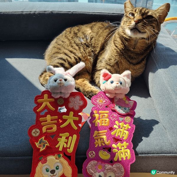 團長同大家提早過肥年， 不過團長係唔係爭一件新年衣服呢？ 同...