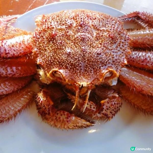 北海道冬日奢華！砂湯+毛蟹 🦀✨