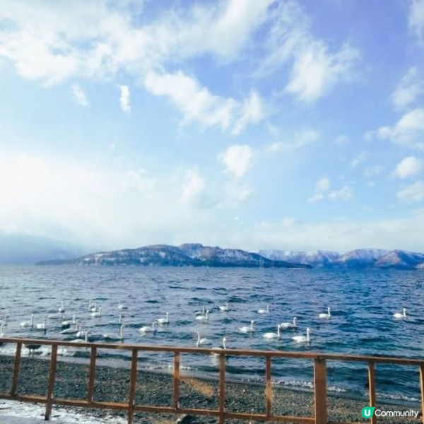 北海道冬日奢華！砂湯+毛蟹 🦀✨