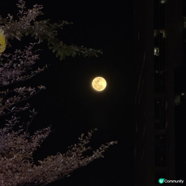 北角海濱賞月🌕浪漫爆燈！