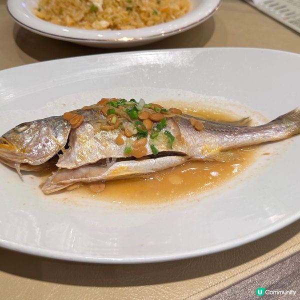 環境舒適😬地點方便!好味粵菜🤗