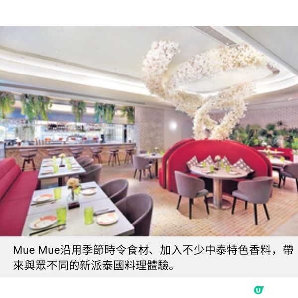 尖沙咀泰菜Mue Mue 兩周年雙重優惠 限定晚餐買二送二