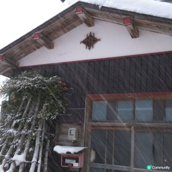 雪國秘境！荻島雪景靚到癲！❄️🏠