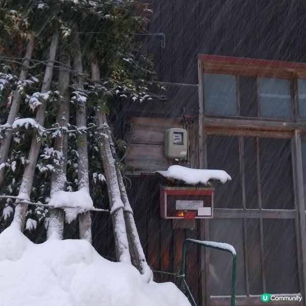 雪國秘境！荻島雪景靚到癲！❄️🏠