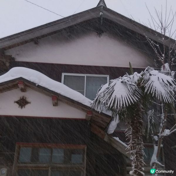 雪國秘境！荻島雪景靚到癲！❄️🏠