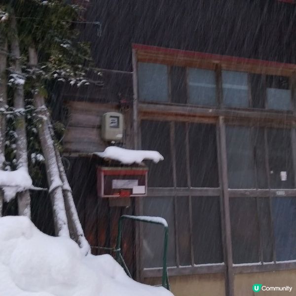 雪國秘境！荻島雪景靚到癲！❄️🏠