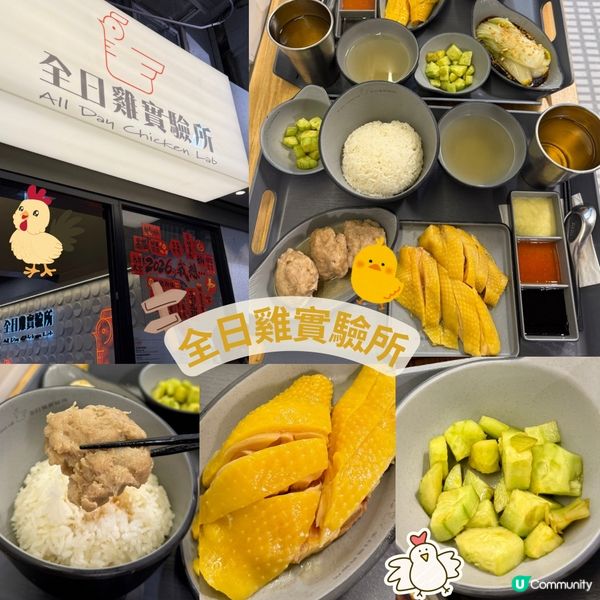 全日雞實驗所🐔