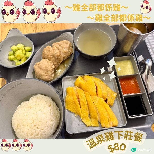 全日雞實驗所🐔