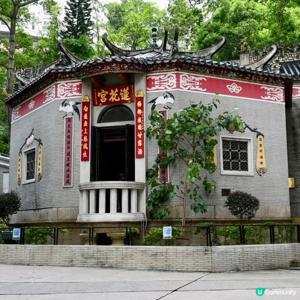 蓮花宮：百年歷史顯聖地 🙏✨