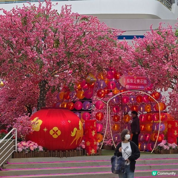 黃埔花園新春裝置