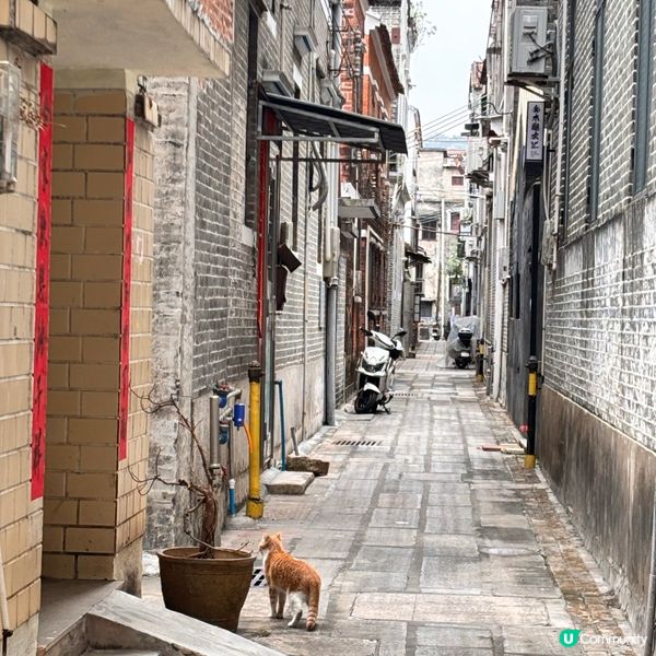 中國/江門穿梭百年古韻!啟明里懷舊打卡指南 📸