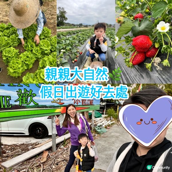 農莊樂！🍓🥕🥬 weekend放鬆好去處！