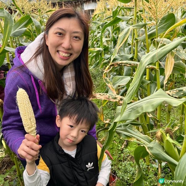 農莊樂！🍓🥕🥬 weekend放鬆好去處！