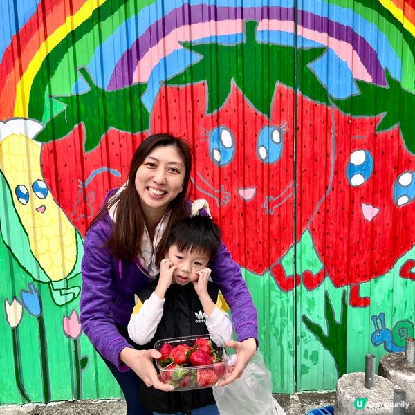 農莊樂！🍓🥕🥬 weekend放鬆好去處！