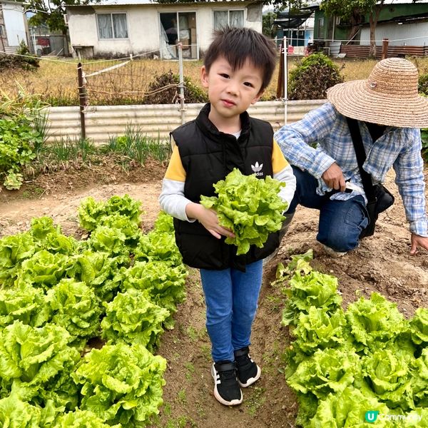 農莊樂！🍓🥕🥬 weekend放鬆好去處！
