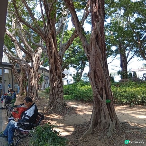 愉景灣-歐洲小鎮情人節浪費💘✨