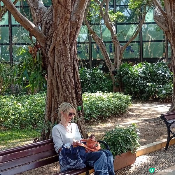 愉景灣-歐洲小鎮情人節浪費💘✨