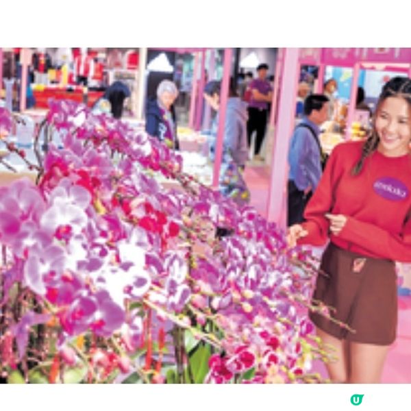 全港首個台灣人氣IP《柴語錄》 大型裝置 4大人氣角色喜慶造